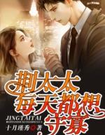 太太每天都想离婚免费阅读