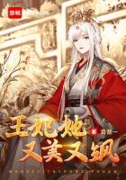 女主叫乔奚奚的