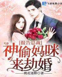 神偷妈咪总裁爹