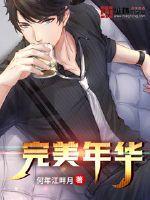 完美年华初相见免费全文