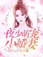 夜少萌宠小娇妻全文阅读