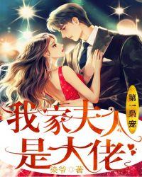 第一夫人我家先生超凶的txt