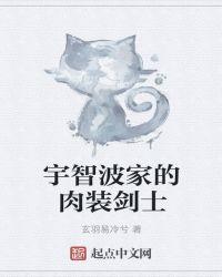 宇智波家的肉装剑士TⅩT