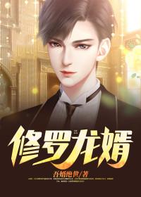 修罗龙婿叶峰