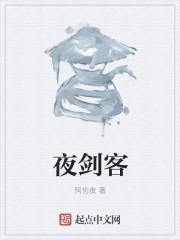 夜剑客多少级