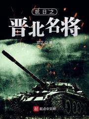 抗日之晋北小卒顶点