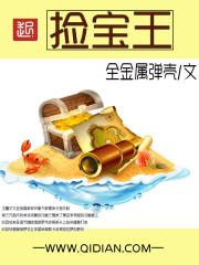 捡宝王txt免费