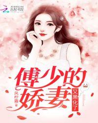 傅少娇妻黑化了电视剧叫什么