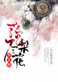 落尽梨花月又西拖沓天王严