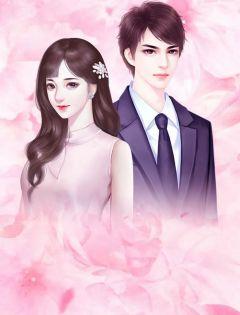 温晚傅斯寒免费阅读全文