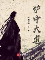 炉中丹是什么东西