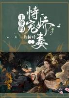 女主叫苏瑾的穿越文