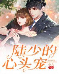 帝少心头宠第二部