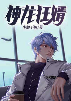 神龙狂婿电视剧完整版