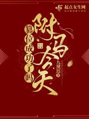 驸马篡位登基的