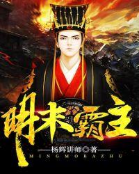 明末霸主 江城书生-杨辉讲师