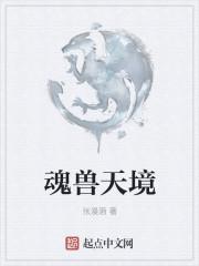 魂兽之境