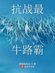 收费站最高收费记录