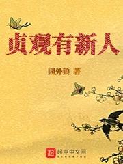 贞观新人 笔趣阁