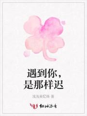 遇到你这样的人是什么歌