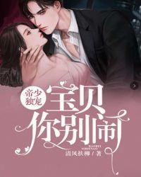 帝少霸道宠宝贝别闹 紫玥悠悠