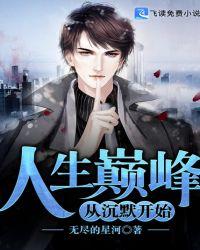 人生巅峰电视剧
