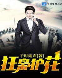 狂龙豪婿白鸿飞