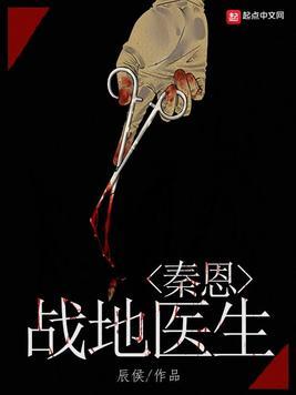战地医生秦恩txt奇书网