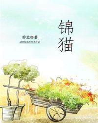 锦猫板材广元总代理地址