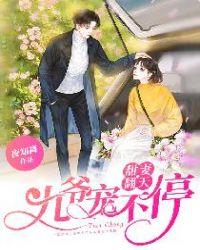 宠不停全文免费