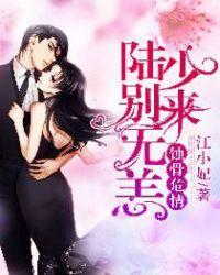 蚀骨危情贺少别来无恙