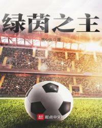 绿茵之主txt