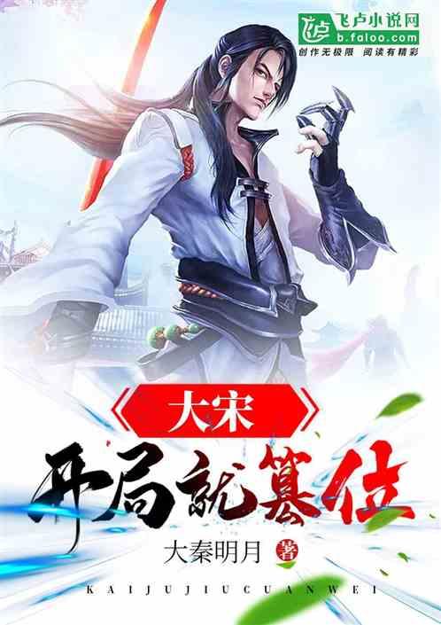 大宋开局就篡位第八区