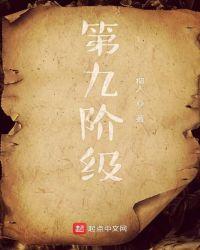中国九等阶层分类
