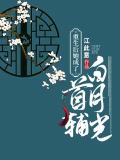 重生后她成了首辅白月光好看吗