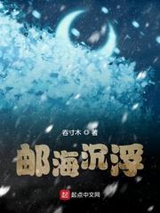 谍海沉浮第三集