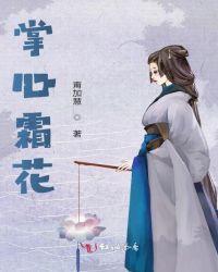 掌心花歌词的意思