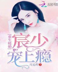 重生暖婚宸少宠上瘾简介