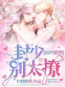 婚内燃情陆少请放手免费读