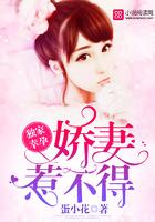 遇见你最是欢喜全文免费阅读