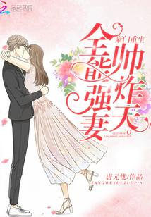 豪门独宠之全能贵妻
