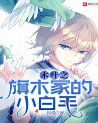 火影之旗木家的小白毛txt全集