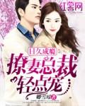 恶魔的宠妻电视剧