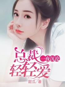 一夜沉沦总裁轻轻爱电影