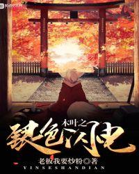 木叶之银色闪电123