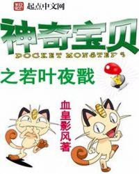 神奇宝贝之夜神