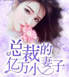 总裁的亿万小妻子全文免费阅读(5)第三十五章