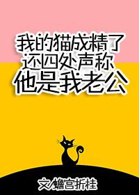 我的猫成精了