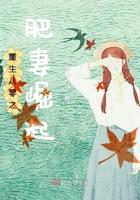 重生八零肥妻归来