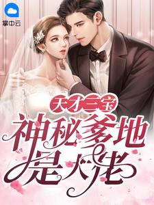 天才三宝神秘爹地是大佬TXT